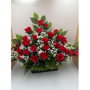 Jardinière de roses rouges goutte d 'eau avec Gypso