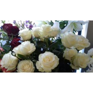 roses blanches