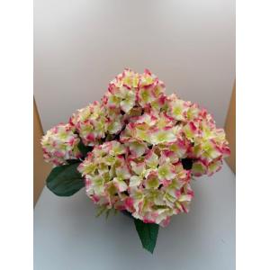 Coupe d 'Hortensias rose
