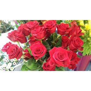 roses rouges